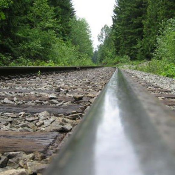 Meet your Posher, Amanda - Picture 1 of 1